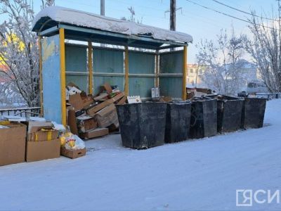 Госдума РФ приняла в первом чтении законопроект парламента Якутии об отходах