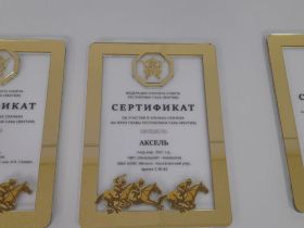 Общий призовой фонд конных скачек на приз главы Якутии превысит 6 млн рублей