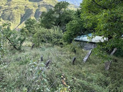 Могилы участников Кавказской войны