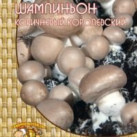 Шампиньон коричневый (60 мл.)
