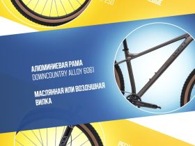 Горный велосипед Welt Rambler 29, год 2024, цвет Серый, ростовка 16