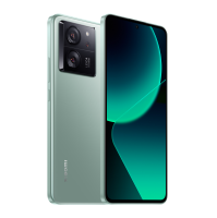 Xiaomi 13T Pro 12/512GB (Green)