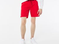 Мужские купальные шорты Lacoste