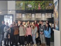 Интерактивное выставочное пространство «Умный дом бабочек»