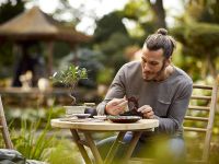 Creator 10281 Конструктор Бонсай