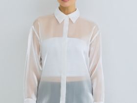 Блузка из органзы, Белый