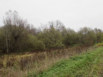 Дом Новиковых