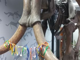 Обряд одевания якутской невесты представили в проекте о свадебных традициях народов России