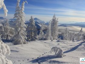 Автопутешествие Якутск - Оймякон - Магадан (Зимний сезон)