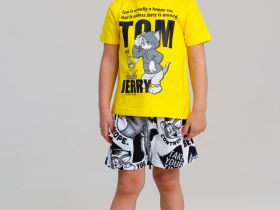 Фуфайка детская трикотажная для мальчиков (футболка)