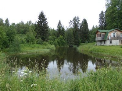 Усадьба Зонн. Парк