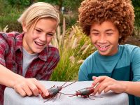 7152 Игрушка ZURU Robo Alive интерактивная «Таракан»