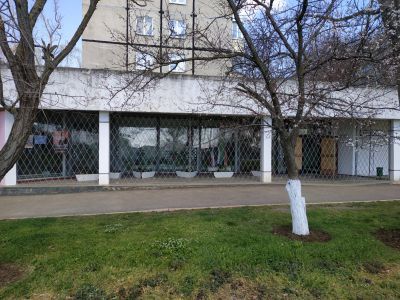 Библиотека-филиал № 2 им. Н. А. Некрасова