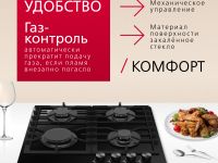 Газовая панель Hansa BHKS610301