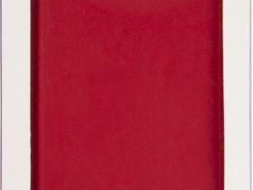 Чехол-книжка RedLine