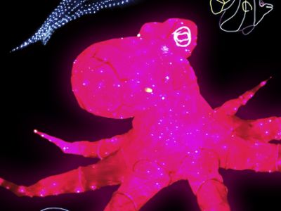 Представление световых кукол с гигантским Осьминогом