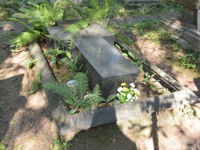 Могила Равдоникаса В.И. (1884-1976), археолога