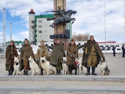 Колонна служебных и ездовых собак пройдет на параде Победы в Якутске