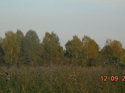 Усадьба. Парк