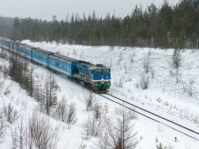 В продажу поступили дополнительные билеты на поезда из Нижнего Бестяха в Благовещенск и обратно