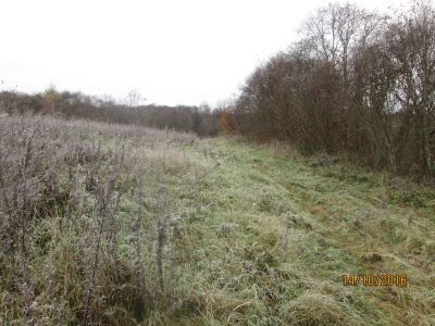 Памятное место, где в августе 1905 года происходил массовый антиправительственный митинг