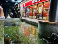 Кинотеатр «Пять звезд – Щелково»