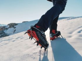 Ботинки STELLAR NUBUCK GTX