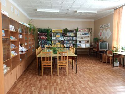 Нижнетимерчеевская сельская библиотека