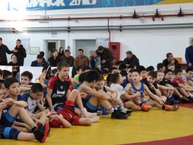 На республиканском турнире в Олекминском улусе определены лучшие борцы