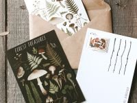 Открытка Дворникова А. "Лесные сокровища" тёмная