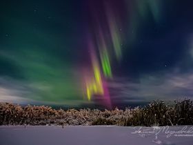 Переливы северного сияния засняли в окрестностях Якутска