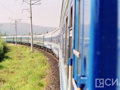 Пассажирка поезда Нижний Бестях – Благовещенск укусила полицейского 