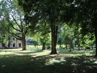 Партер перед западным фасадом главного здания Тверской Губернской Земской больницы с комплексом зеленых насаждений и фрагментами планировки