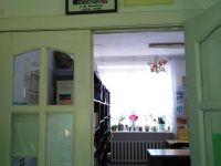 Ягодинская библиотека-филиал № 15 им. А. М. Коньковой