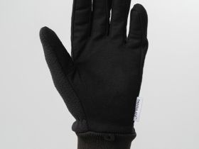 Перчатки Nordski Motion Black WS