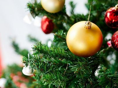 Россияне чаще выбирают искусственные елки вместо живых