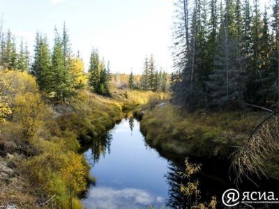 Участки у водоемов разрешат оформлять в собственность