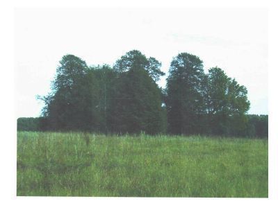 Священная роща