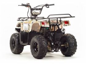 Квадроцикл MOTOLAND 110 Rider (2021 Г.)
