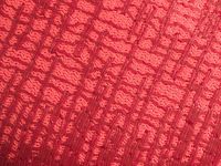 Велотуфли Fizik Vento Infinito Knit Carbon 2 (красный 39)