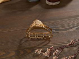 Заколка Cozy Home IV