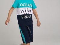 Комплект для мальчика: футболка, шорты