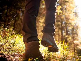 Ботинки PAMIR WP