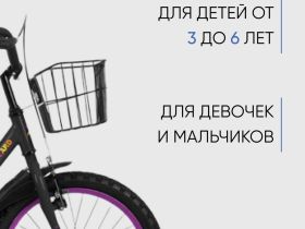 Детский велосипед Forward Barrio 16, год 2023, цвет Черный