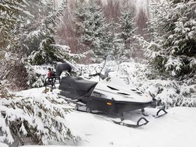 Снегоход РУССКАЯ МЕХАНИКА Тайга Варяг 550 V SE