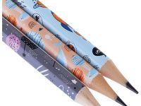 Набор карандашей чернографитных MESHU "Space" 3 шт, HB, с ластиком, ассорти, европодвес