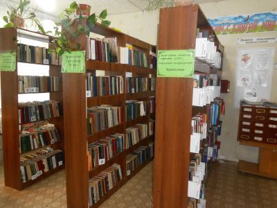 Краснозаводская библиотека