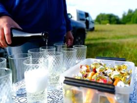 Полет на воздушном шаре