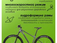 Горный велосипед Atom Bion Nine 50, год 2024, цвет Серый, ростовка 18.5