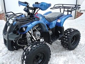 Квадроцикл MOTOLAND 125 Fox A